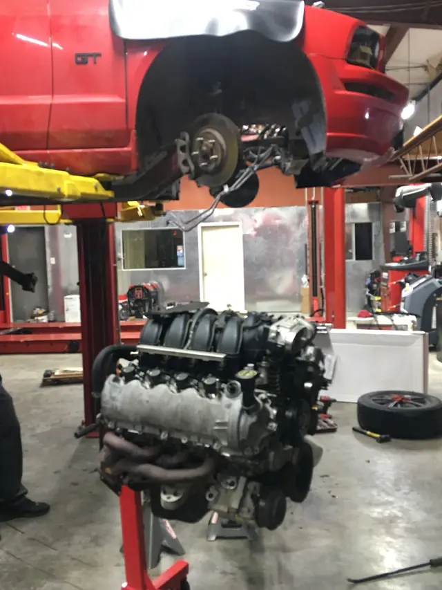 Car City — customer photo 10