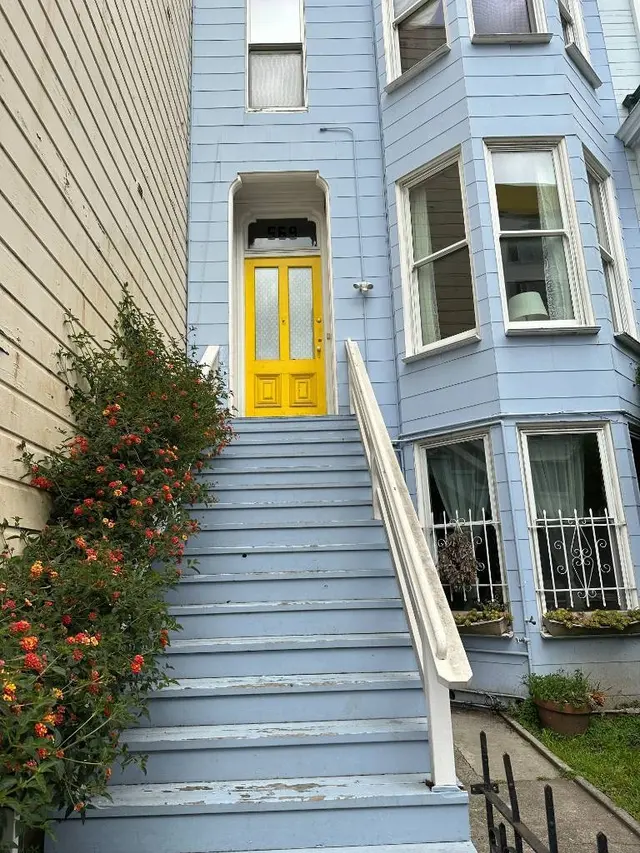 Fast Mold Testing - San Francisco Bay Area — photo from the business 6