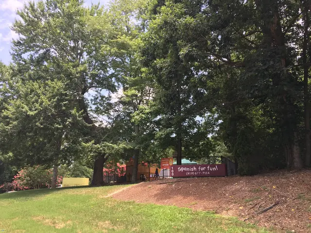 SPANISH FOR FUN! Cary — photo from the business 10