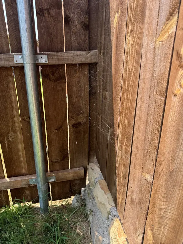 Ross Pest and Lawn — customer photo 9