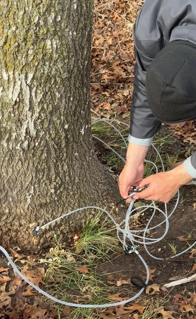 Ross Pest and Lawn — photo from the business 5