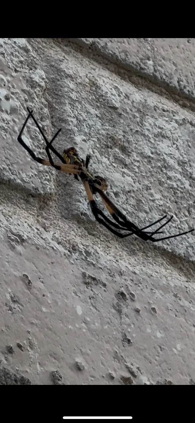 Urbanex Pest Control — customer photo 8