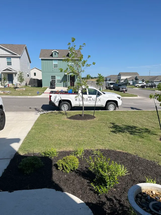Urbanex Pest Control — customer photo 2