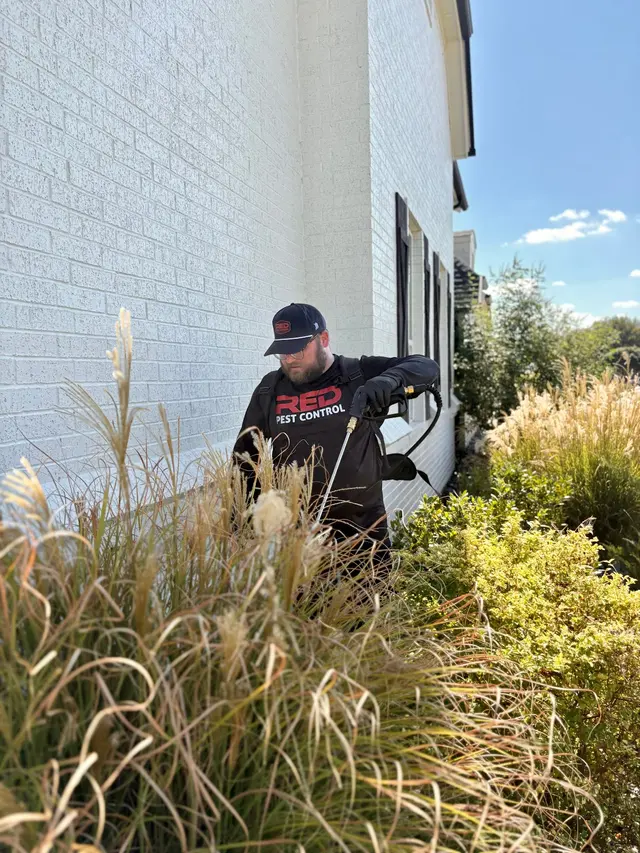 RED Pest Control — photo from the business 7