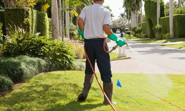 Texas Bug Slayers — photo from the business 9