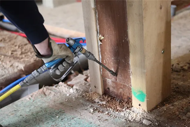 Texas Bug Slayers — photo from the business 10