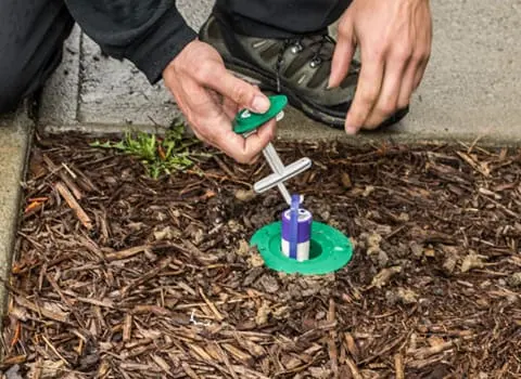 Texas Bug Slayers — photo from the business 11