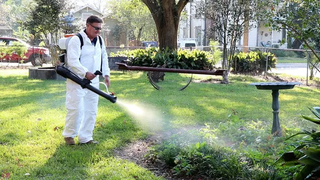 Texas Bug Slayers — photo from the business 7