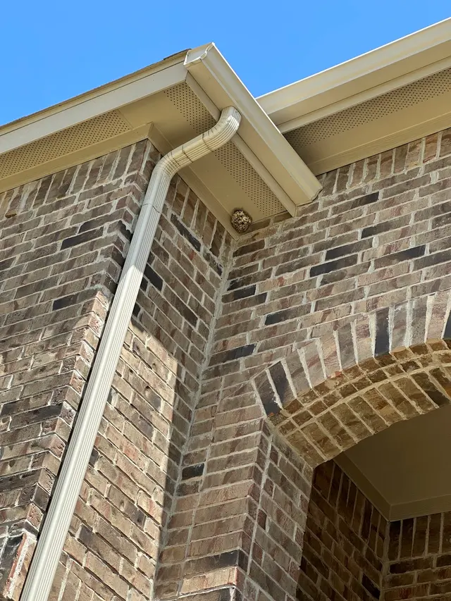 HomeTeam Pest Defense — customer photo 8