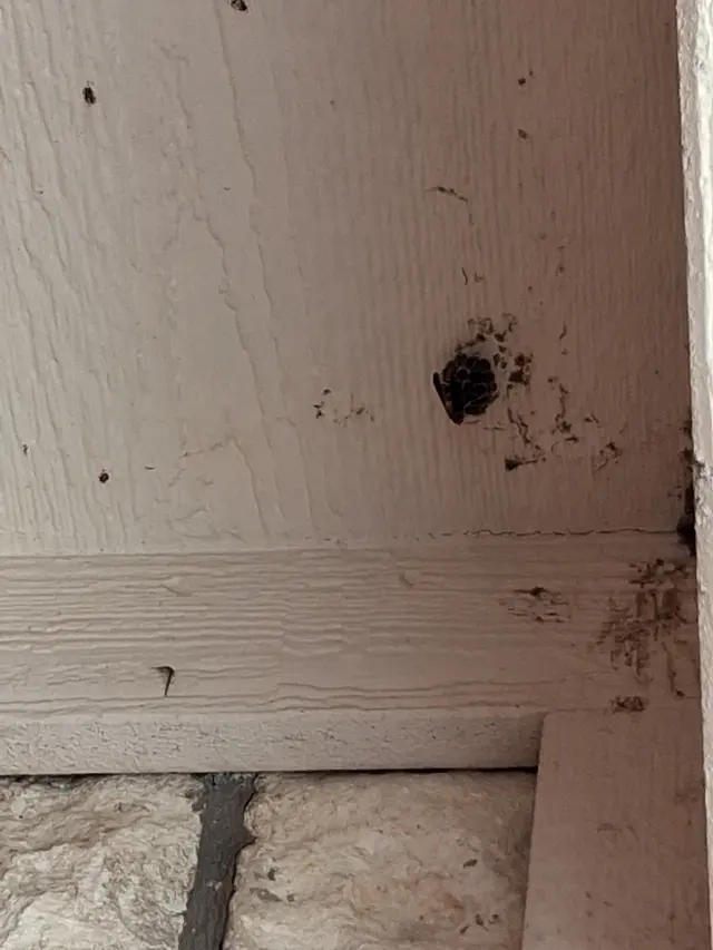 Pest Away LLC — photo from the business 2