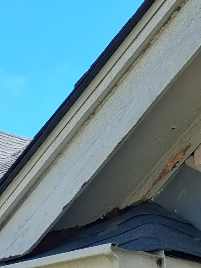 Pest Away LLC — photo from the business 3