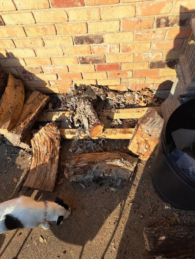 Truly Nolen Pest & Termite Control — customer photo 9