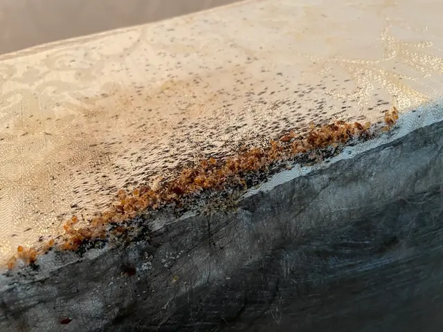 Truly Nolen Pest & Termite Control — customer photo 8