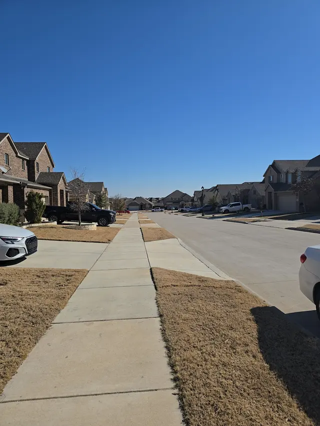 No Contract Pest Solutions - Fort Worth — customer photo 11