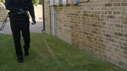 No Contract Pest Solutions - Fort Worth — photo from the business 9