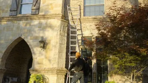 No Contract Pest Solutions - Fort Worth — photo from the business 7