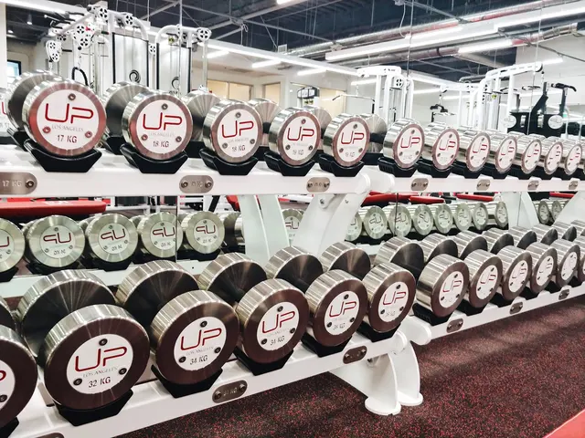 Ultimate Performance Personal Trainers Los Angeles, West Hollywood — photo from the business 4