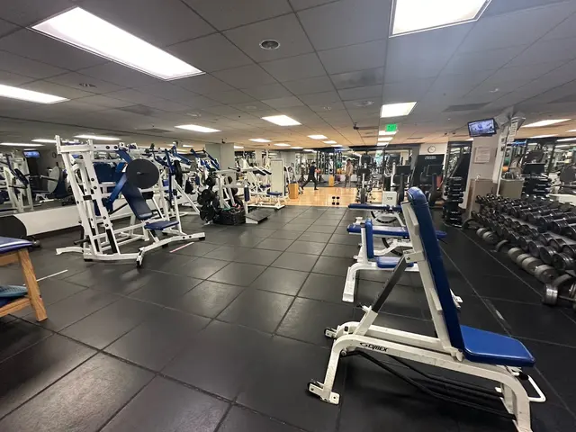 Athletic Physical Therapy - West Los Angeles — photo from the business 2
