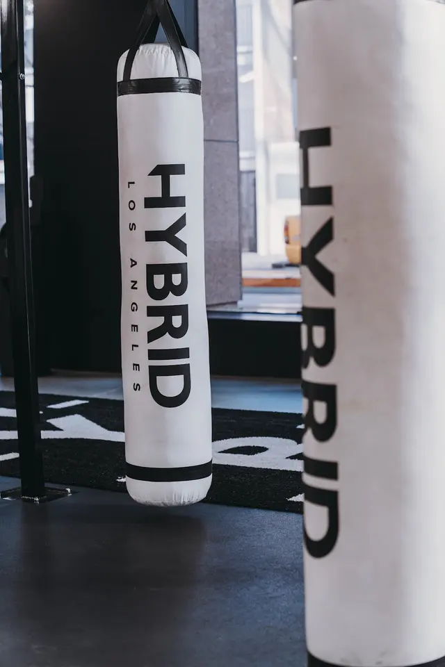 Hybrid Gym Los Angeles — photo from the business 9