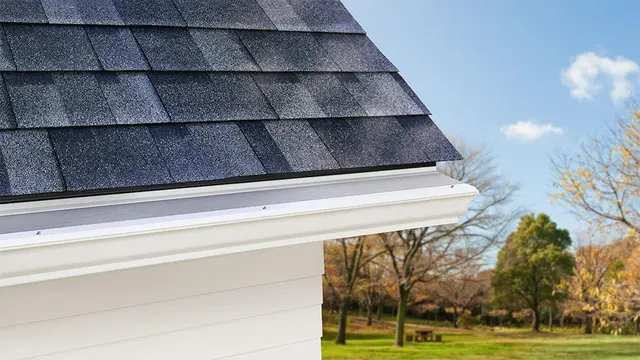 LeafFilter Gutter Installation & Guards — photo from the business 1