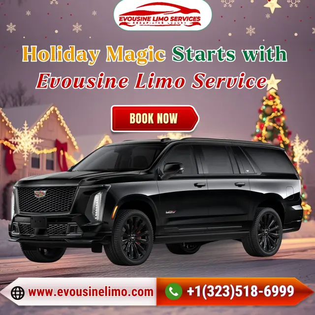 Evousine Limo Services — photo from the business 2