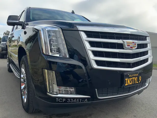 In Style Transportation — customer photo 9
