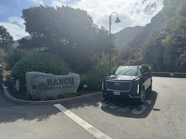 In Style Transportation — customer photo 7