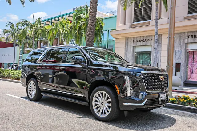 LB Limousine, Inc — photo from the business 1