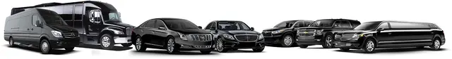 Crown Limousine — photo from the business 1