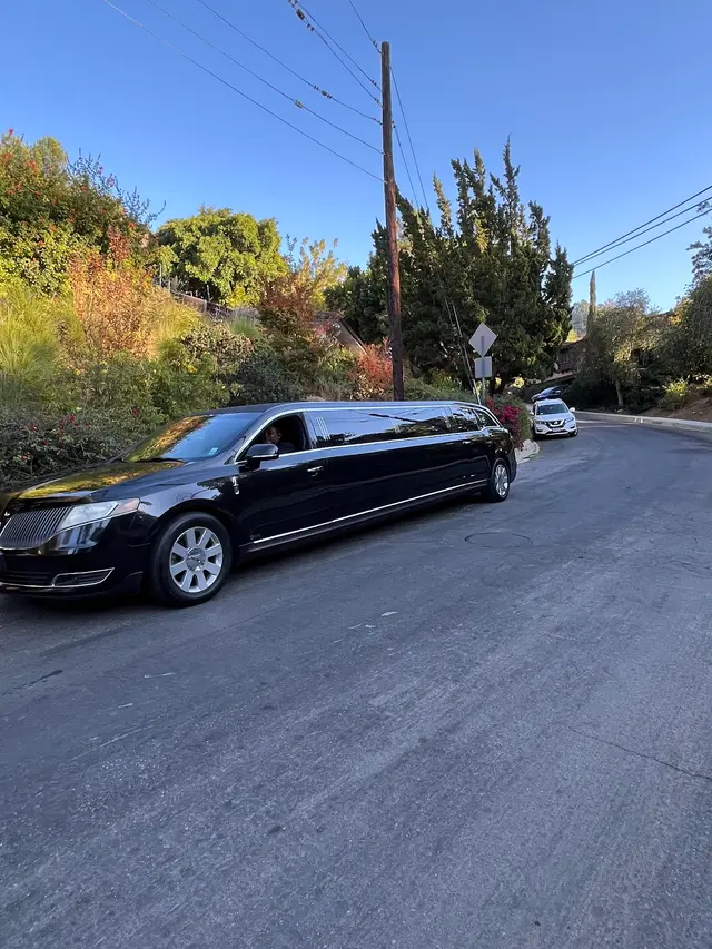 Crown Limousine — customer photo 2