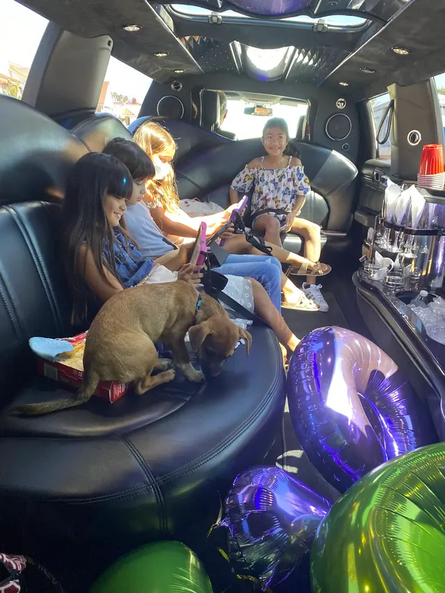 Crown Limousine — customer photo 6