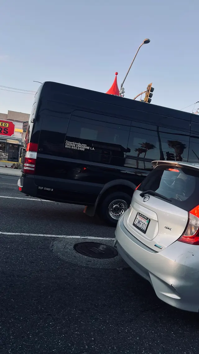 Crown Limousine — customer photo 4