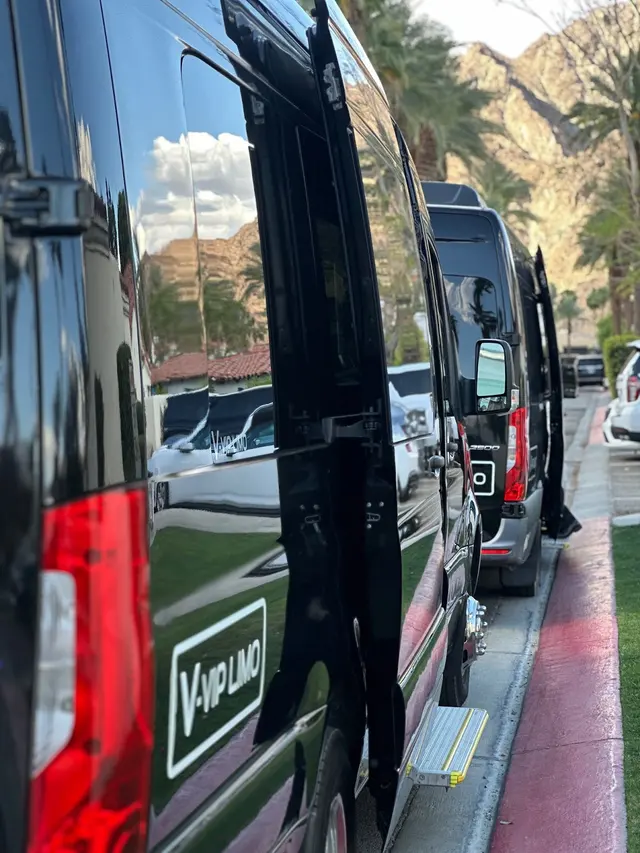 LAX VIP Limousine — photo from the business 1