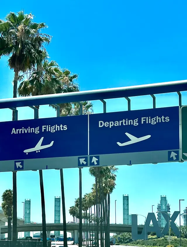 LAX Car Service by L.A Confidential Car Service — photo from the business 6