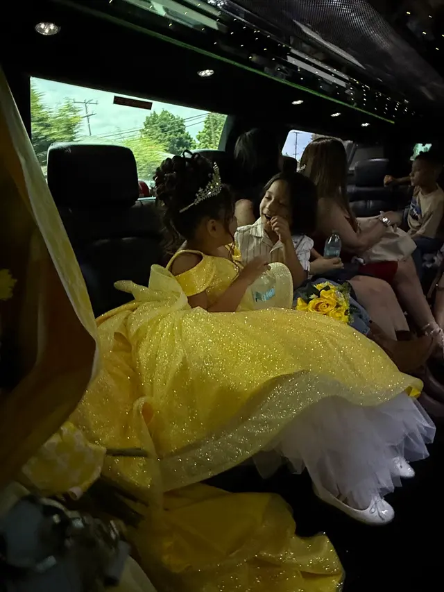 Customer photo of work by Eagle Limousine Inc, from Jorge Mendez's review