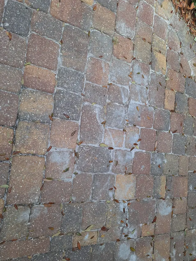 Coastal Outdoor Construction LLC — customer photo 12