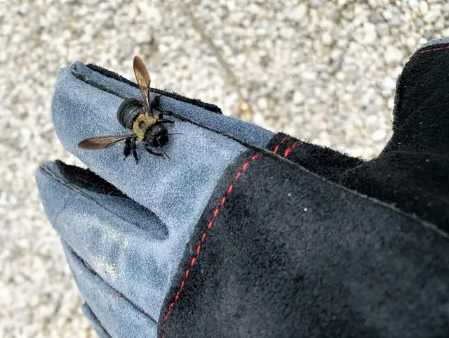 Epcon Lane Pest Control — photo from the business 12