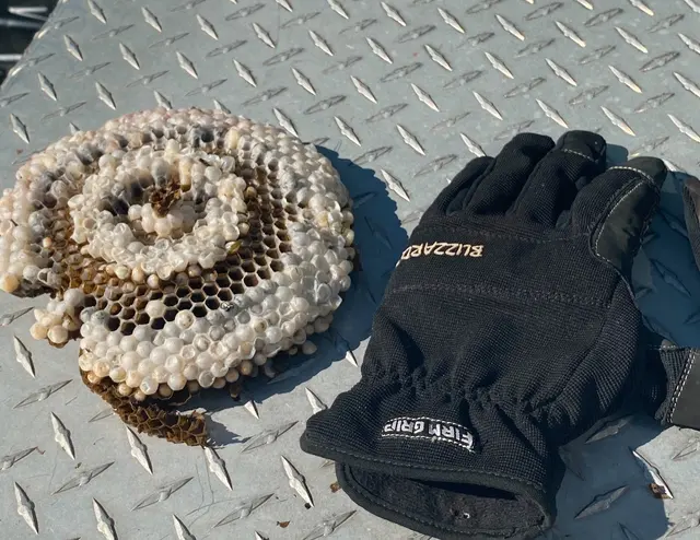 Epcon Lane Pest Control — photo from the business 10