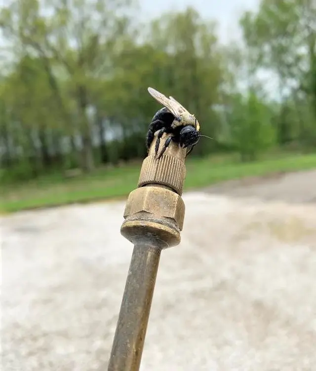 Epcon Lane Pest Control — photo from the business 9