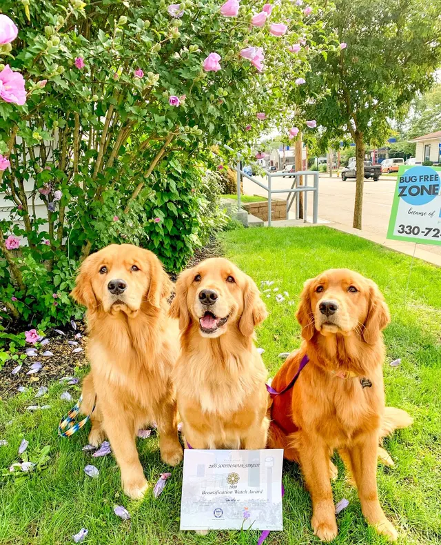 Epcon Lane Pest Control — photo from the business 6