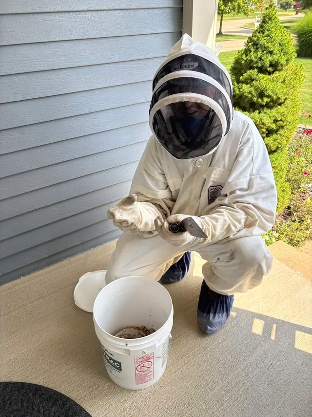 Absolute Pest Control — customer photo 5