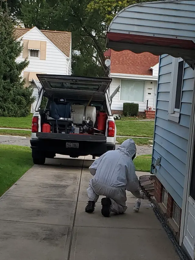 Absolute Pest Control — customer photo 6