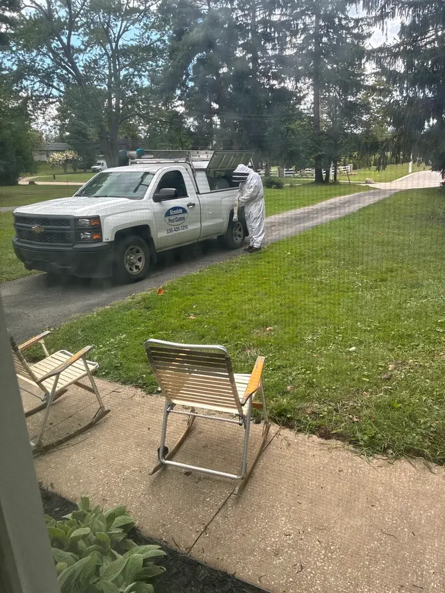 Absolute Pest Control — customer photo 8