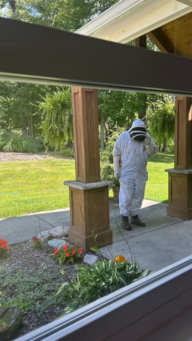 Absolute Pest Control — customer photo 11