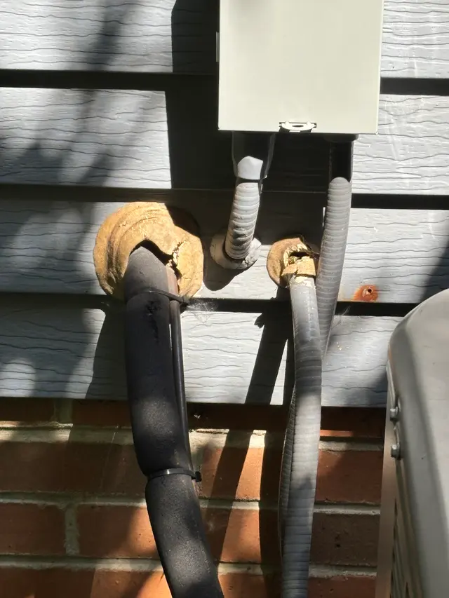 Absolute Pest Control — customer photo 9