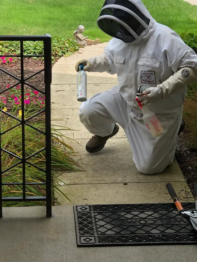Absolute Pest Control — customer photo 2