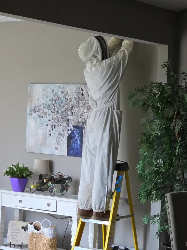 Absolute Pest Control — customer photo 10