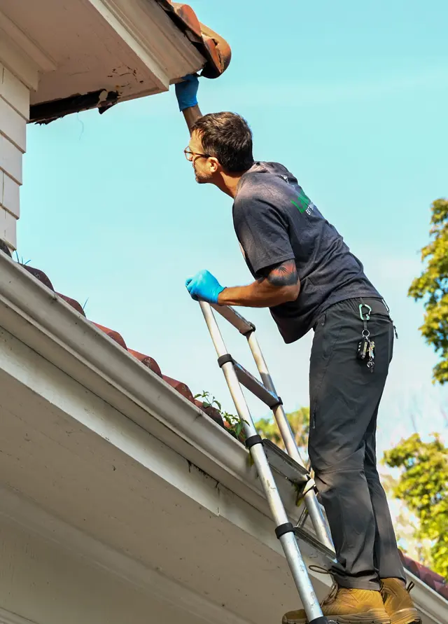 Lakewood Exterminating — photo from the business 7