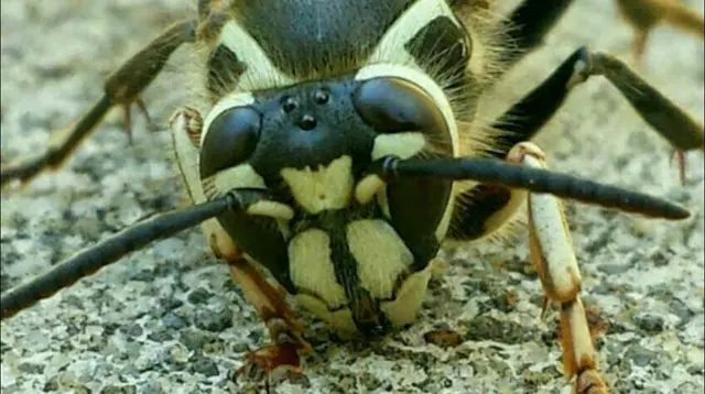 Lakewood Exterminating — photo from the business 12