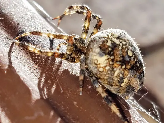 Lakewood Exterminating — photo from the business 5